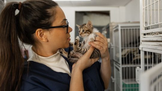 Comment choisir le meilleur service de garde d&rsquo;animaux?