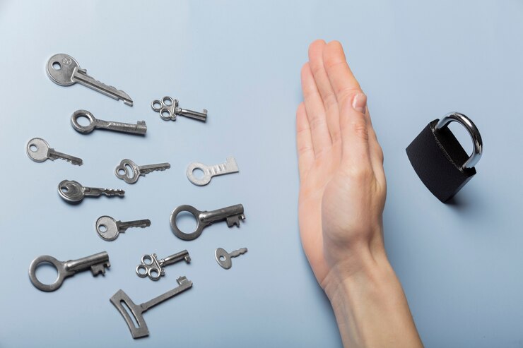 Choisir la serrure idéale pour votre porte d&rsquo;entrée : un gage de tranquillité