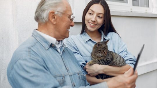 Les avantages d’une pension féline sur la garde à domicile