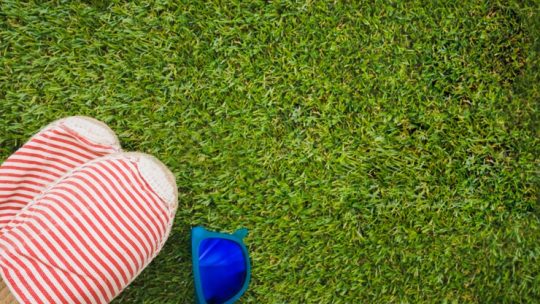 Révolution verte : le gazon synthétique redéfinit le jardinage