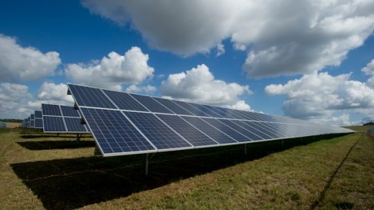 Comment protéger vos panneaux solaires des fientes d&rsquo;oiseaux et de la sève ?
