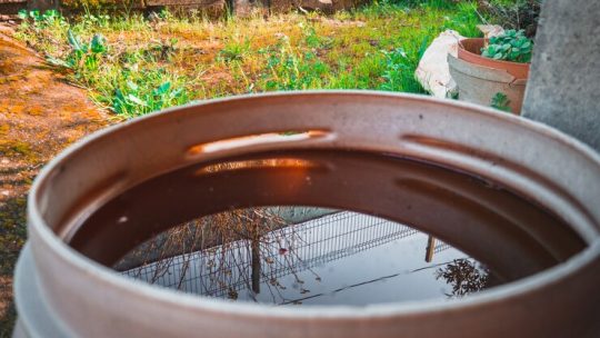 Systèmes de récupération d&rsquo;eau de pluie : lequel choisir ?