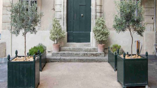 Comment aménager une entrée de cour élégante ?