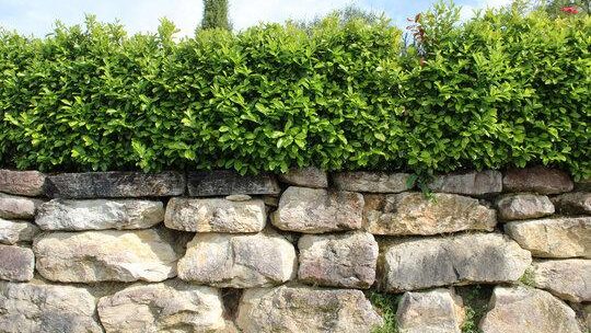 Enrochement : créez des jardins uniques et naturels