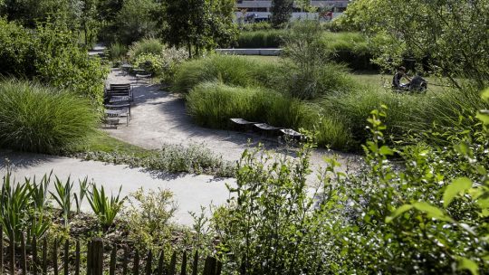 Redonner vie à votre jardin : les secrets d&rsquo;une réhabilitation réussie