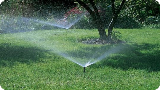 Arrosage 2.0 : la technologie au service de votre jardin