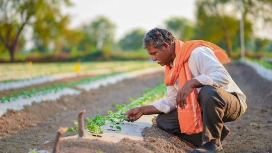 Installer des systèmes d&rsquo;irrigation pour les jardins en terrasse