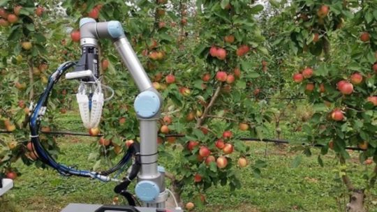 Matériel de récolte des fruits et légumes : technologies modernes