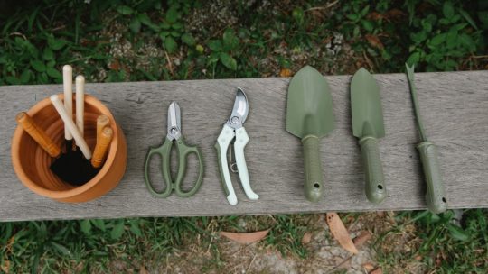 Comment entretenir correctement les outils de jardin ?