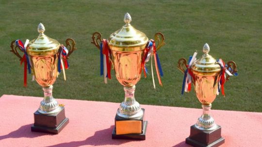 Les styles de gravure pour embellir vos trophées