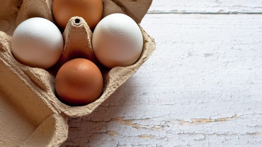 Guide pour choisir des emballages alimentaires professionnels