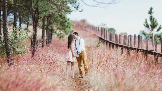 Thérapie de couple : comment renforcer votre relation ?