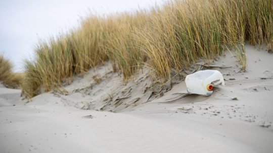 Santé et environnement : comment protéger votre organisme face à la pollution ?