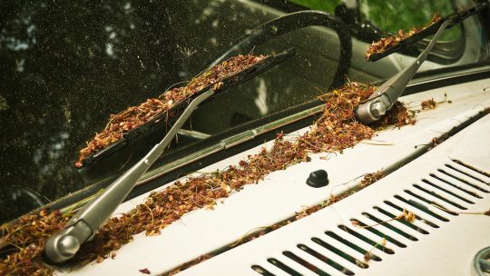 Pare-brise feuilleté : une barrière de sécurité indispensable