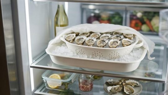 Comment conserver la fraîcheur produits plus longtemps au frigo ?
